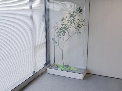 现代植物景观造景3D模型下载